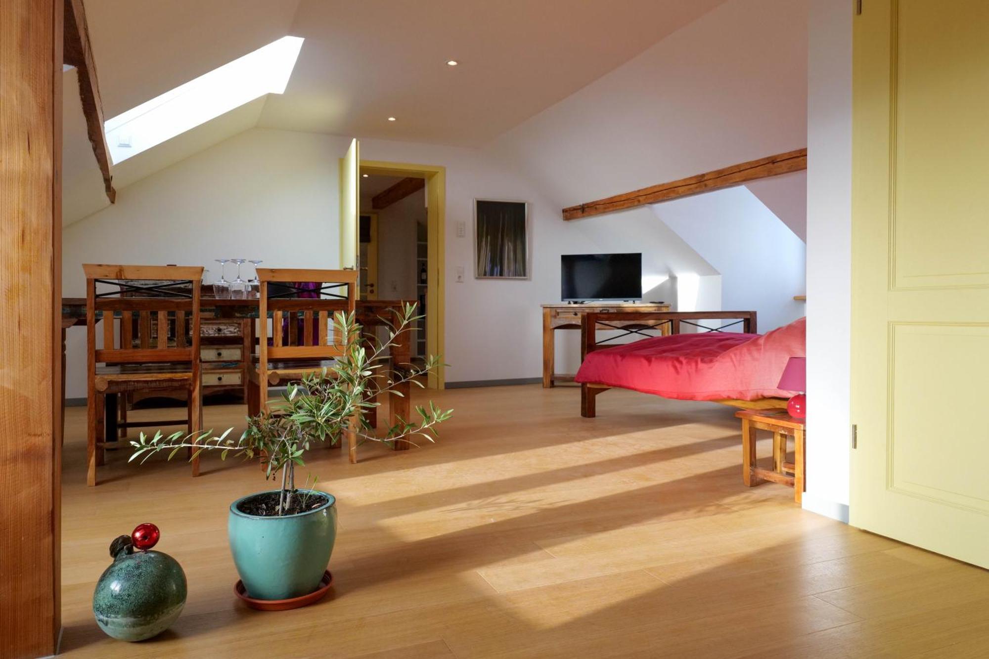 Goldener Loewe Apartment *