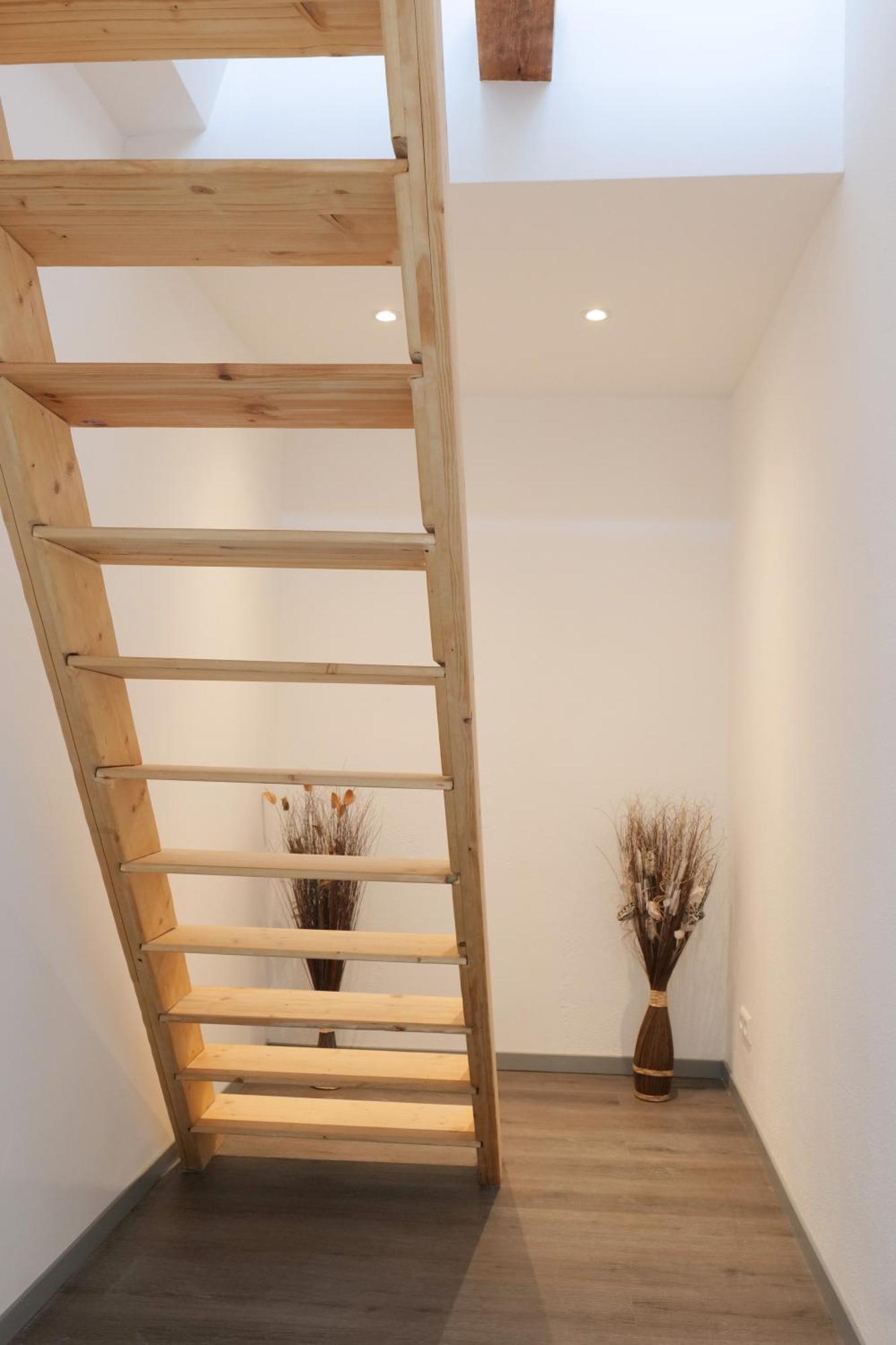 Apartment Goldener Loewe *
